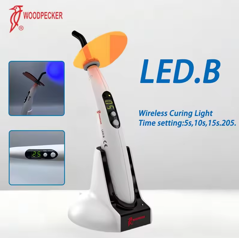 Dental Curing Light Woodpecker - Teeth Whitening Kit With Light 리뷰 및 가격