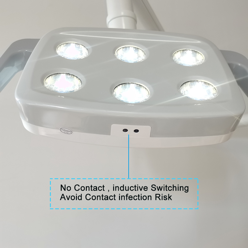 6LED Dental LED Lamp Oral Ligh - Teeth Whitening Kit With Light 리뷰 및 가격
